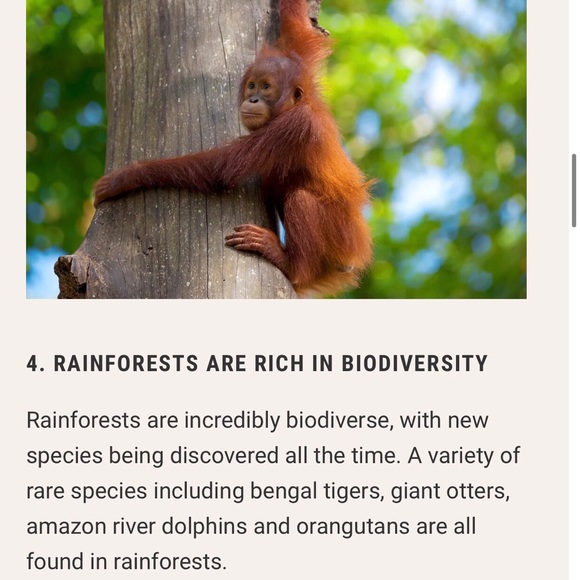 #4 LIKE LISTING #5 Comments Full - Picture 11 of 16